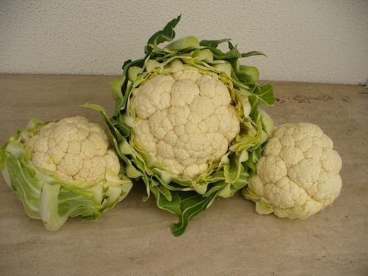   (Cauliflower)